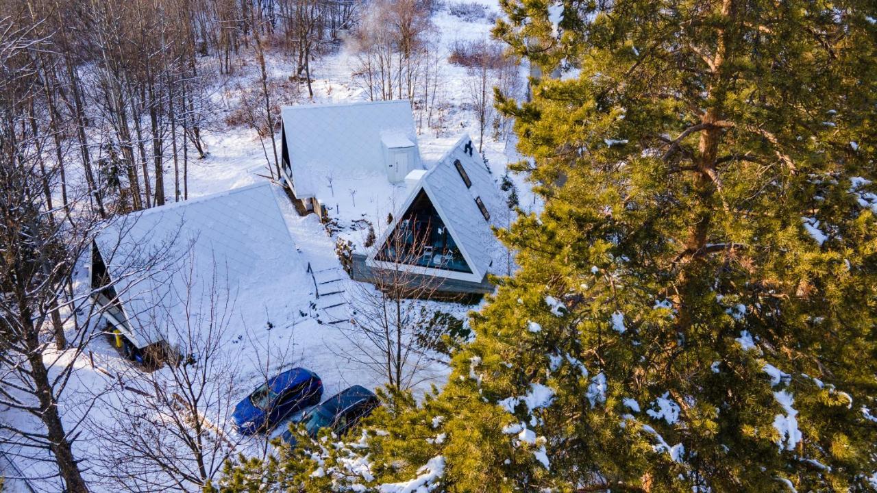 Trzy Owce - Nowoczesne Domki W Gorach Bialka Tatrzanska Buitenkant foto